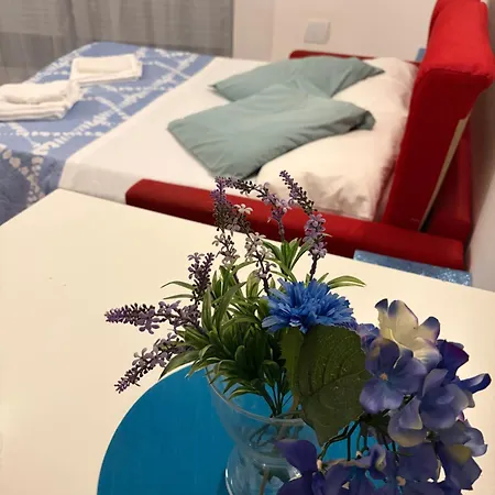 Searoom * Lido delle Nazioni