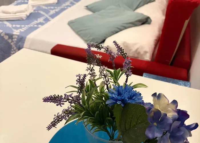 Searoom * Lido delle Nazioni